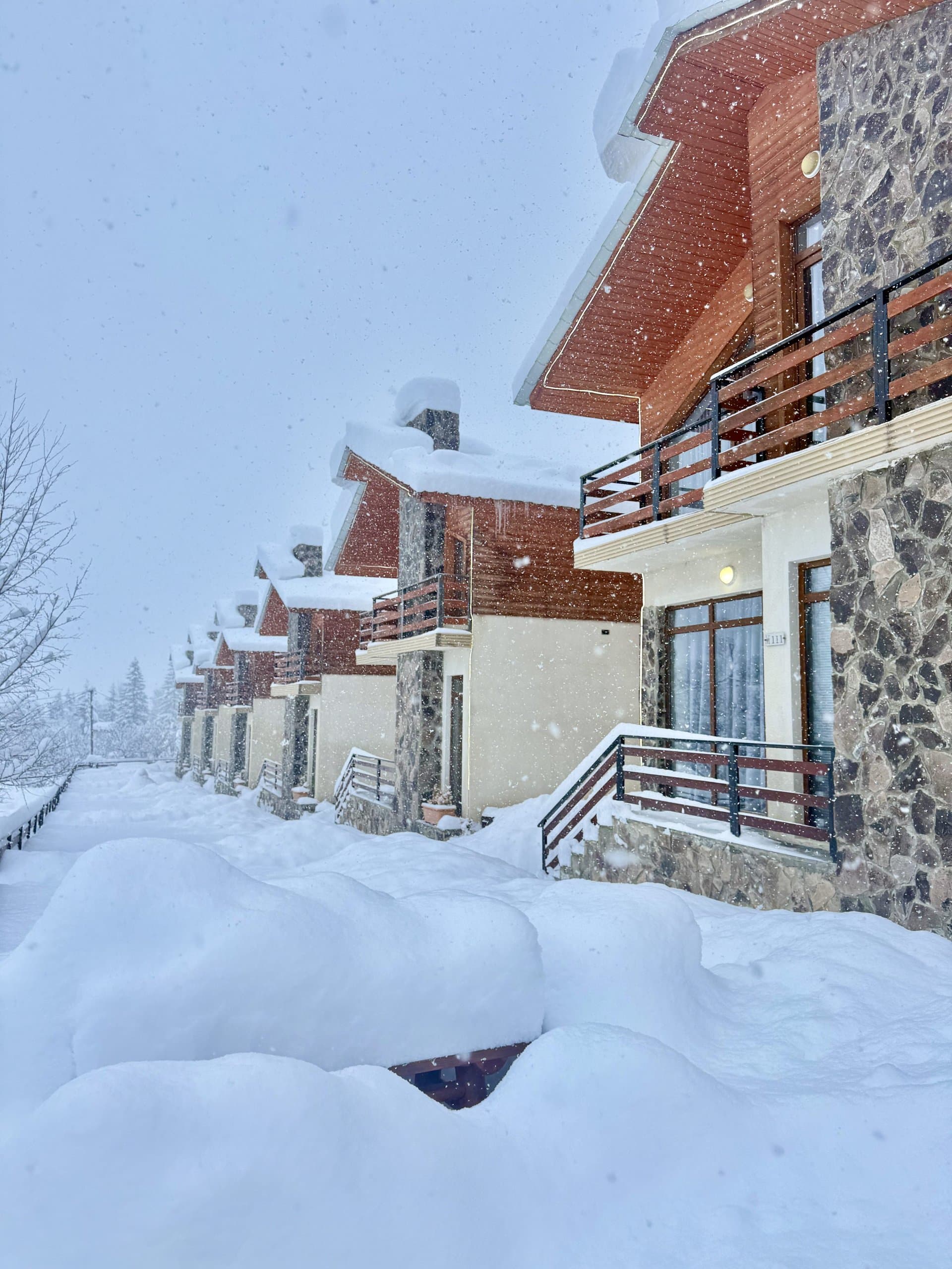 Mountain villas surrounded by deep snow.