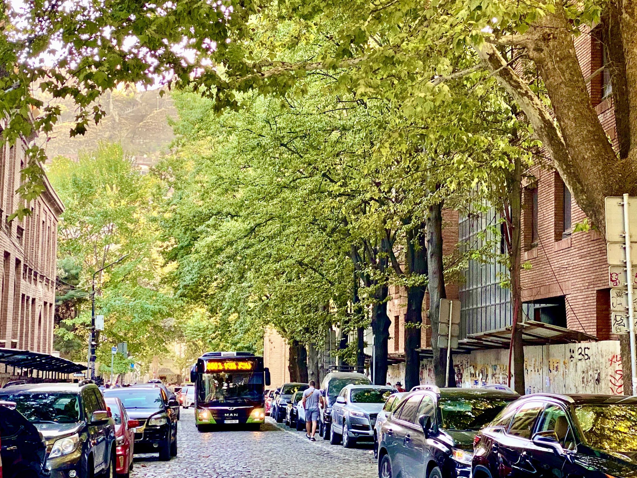 Tree-lined street in Tbilisi, Georgia.