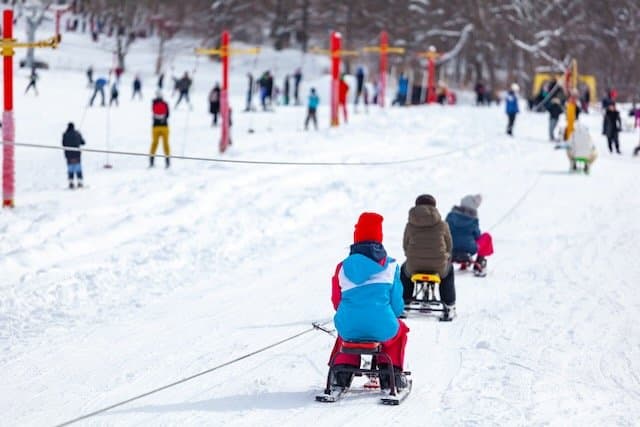 Children sledding on a snowy slope.