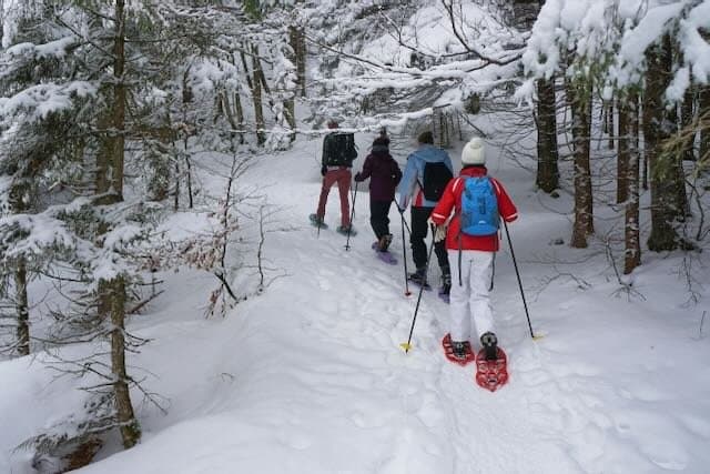 People snowshoeing along a forest trail in winter.